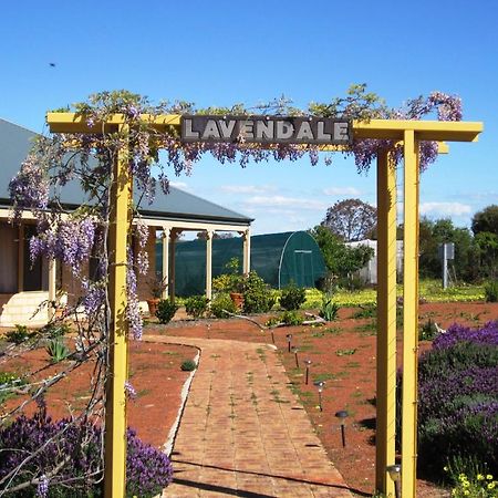 Lavendale Country Retreat Vila York Exterior foto